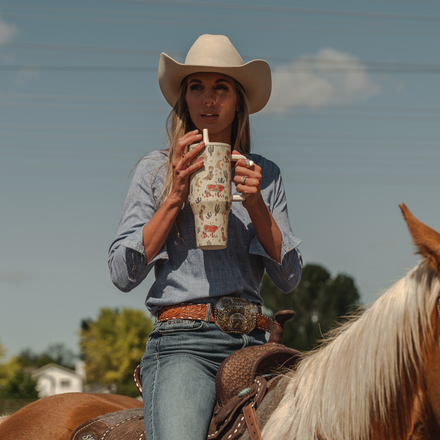 rodeo-e0 TRVL-Rodeo-6WPI.png