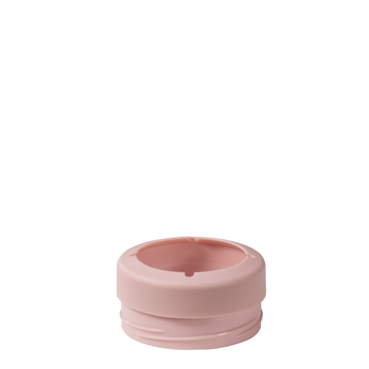 dusty-rose-r6 16ozCan-DustyRose-WPI-2.png