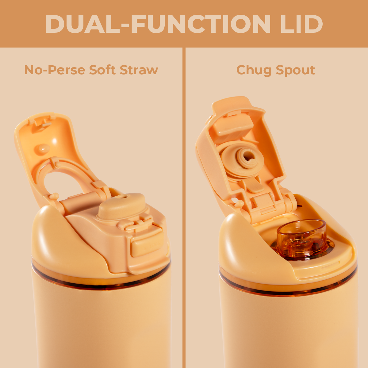 marigold-h0 Ease24-Marigold-WPI-5.png